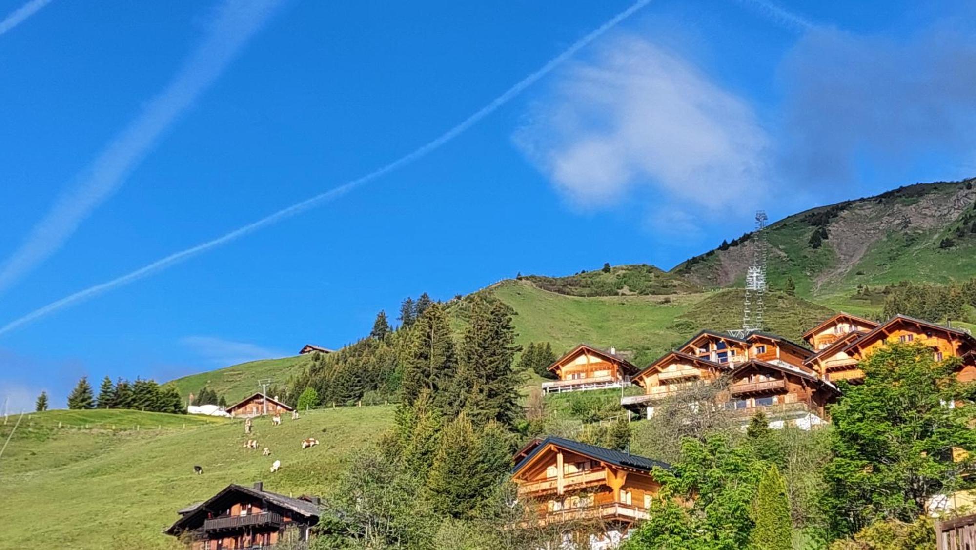 Alpage Immo Location Service Champoussin Exterior photo